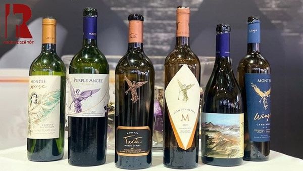 Khám Phá Vùng Làm Vang Colchagua Valley