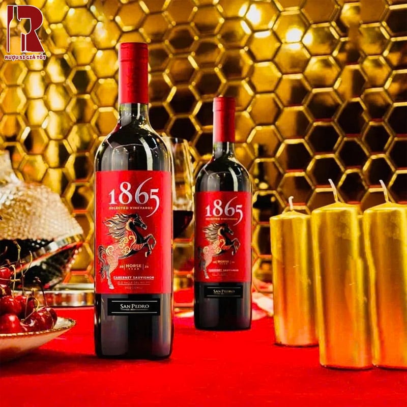 Giá Rượu Vang Chile Đỏ San Pedro 1865 Selected Vineyards Cabernet Sauvignon