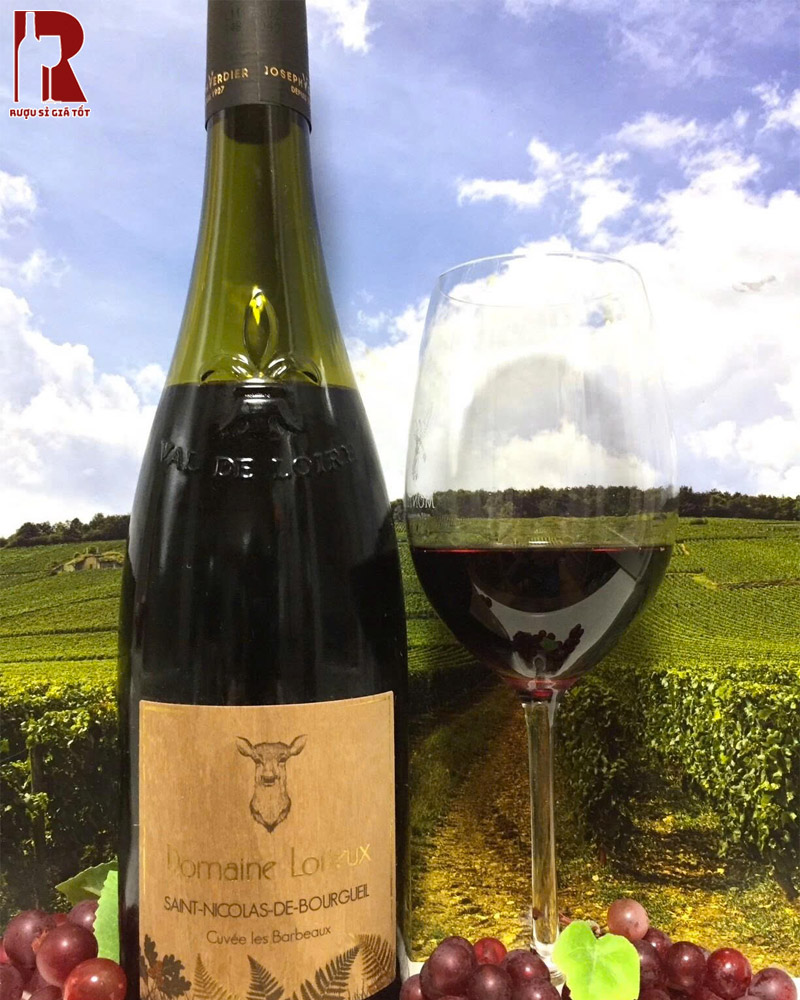 Bảo Quản Rượu Vang Pháp Đỏ Domaine Lorieux Les Barbeaux Saint Nicolas de Bourgueil