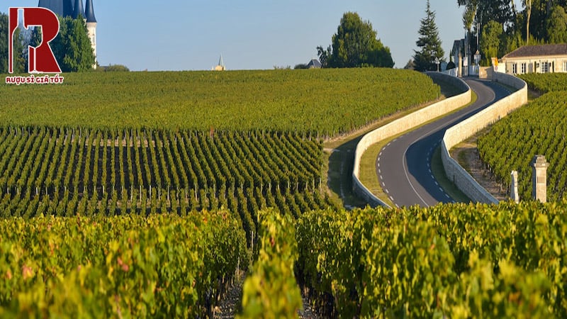 Vùng Làm Vang Nổ