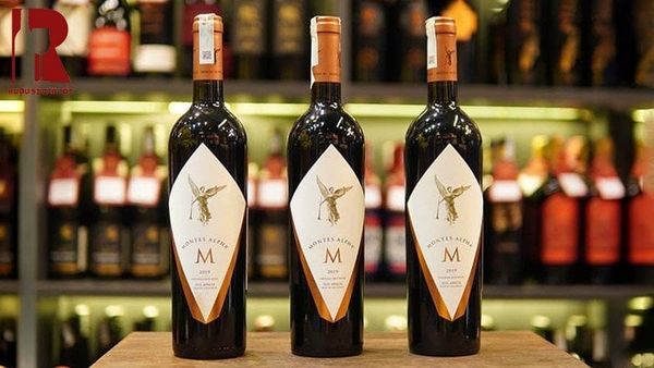 Cách Thưởng Thức Vang Chile Đỏ Montes Alpha M