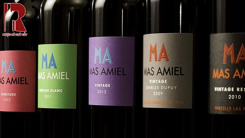 Rượu vang cường hóa hoàn hảo cho đa dạng các buổi tiệc và dễ dàng chiều lòng khách hàng với nhiều mẫu mã đa dạng