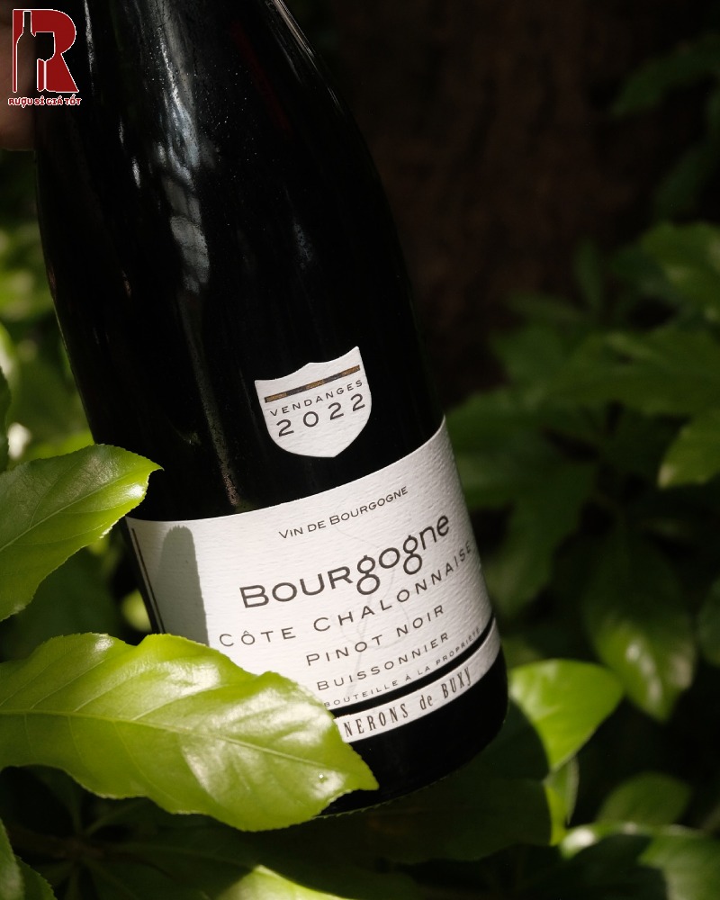 Rượu Vang Pháp Đỏ Bourgogne Cote Chalonnaise Pinot Noir Vignerons de Buxy Nhập Khẩu