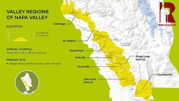 Khám Phá Vùng Sản Xuất Vang Napa Valley