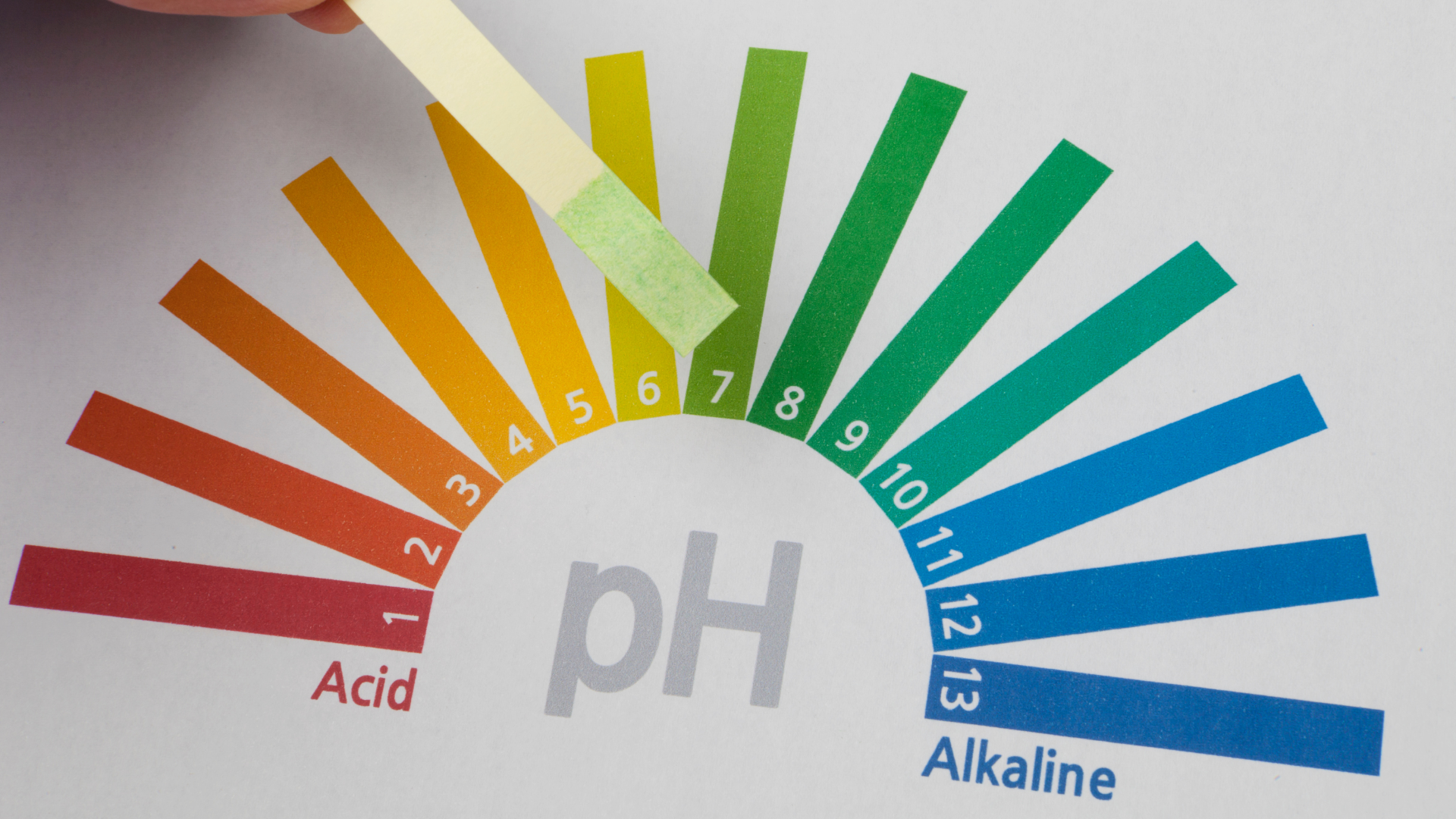 pH Nước Và Hương Vị Cà Phê: Tại Sao Độ pH Ảnh Hưởng Trực Tiếp Đến Vị Chua, Ngọt Và Cân Bằng Của Ly Espresso