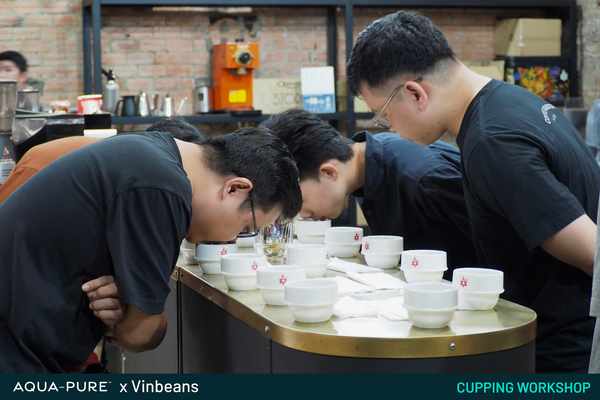 Nước đạt chuẩn cho Cupping: Yếu tố quyết định chất lượng đánh giá cà phê trong ngành F&B