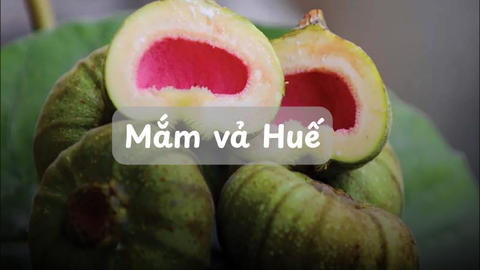 Mắm vả Huế – Đặc sản dân dã mang hương vị cố đô