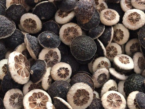 Công dụng và bài thuốc chữa bệnh từ Chỉ Xác