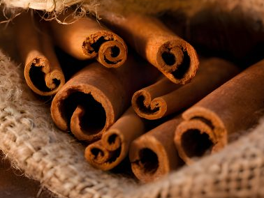 Quế Nhục – Thảo dược quý bồi bổ sức khỏe và giữ ấm cơ thể hiệu quả