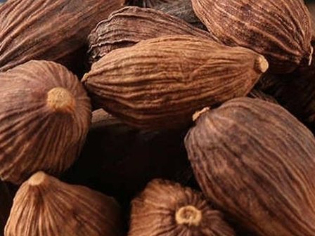 Tìm hiểu về Thảo Quả trong đông y