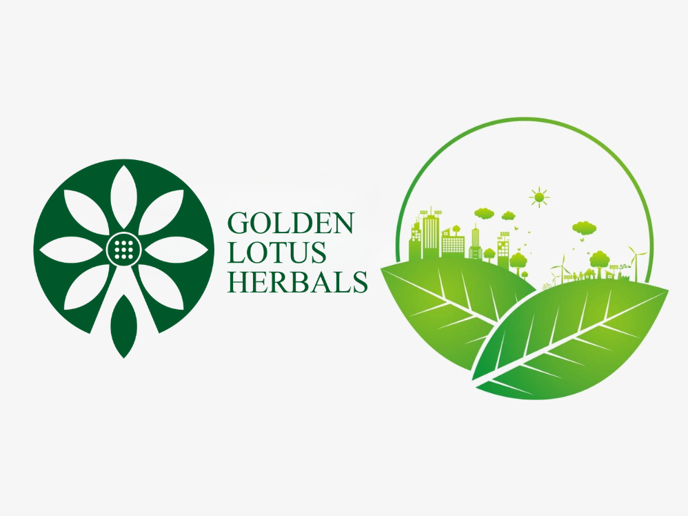 Chủ tịch ủy ban nhân dân tỉnh Tuyên Quang cấp giấy phép môi trường cho công ty cổ phần dược liệu Bông Sen Vàng