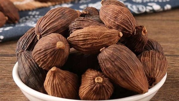 thảo quả bông sen vàng