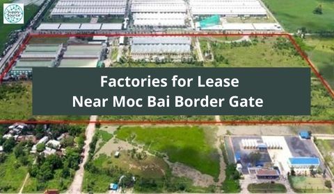 Factories for Lease Near Moc Bai Border Gate