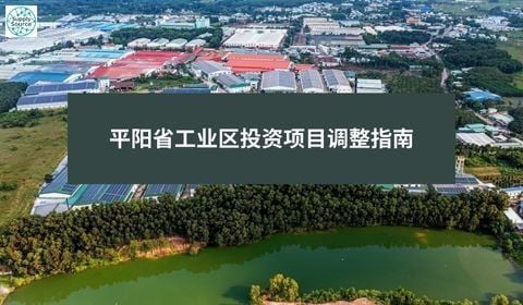 平阳省工业区投资项目调整指南