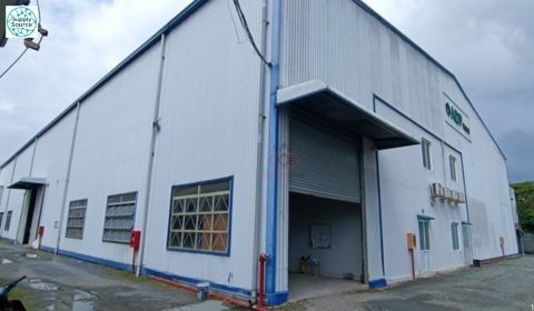 胡志明市工业园区内已建成的纸包装生产厂房