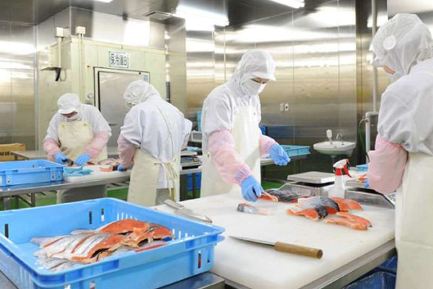 Bảo hộ trong ngành thủy sản – Giải pháp an toàn cho ngư dân và công nhân chế biến