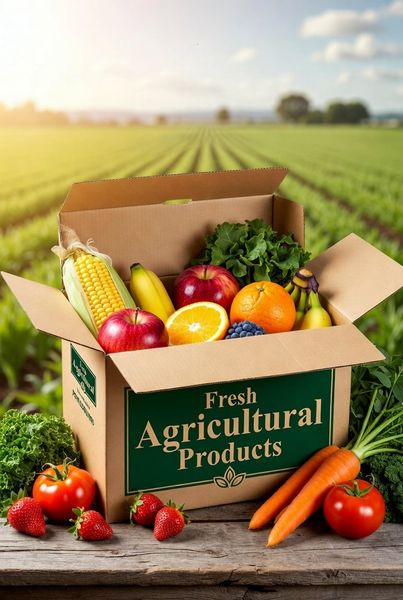 THÙNG CARTON ĐỰNG NÔNG SẢN: GIẢI PHÁP ĐÓNG GÓI TỐI ƯU GIÚP BẢO QUẢN VÀ TĂNG GIÁ TRỊ SẢN PHẨM