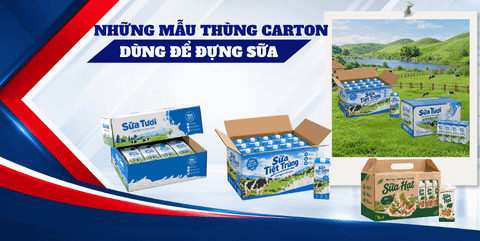 Những Mẫu Thùng Carton Dùng Để Đựng Sữa