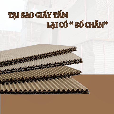 GIẢI MÃ BÍ MẬT: TẠI SAO GIẤY TẤM LẠI CÓ “ SỐ CHẮN”?