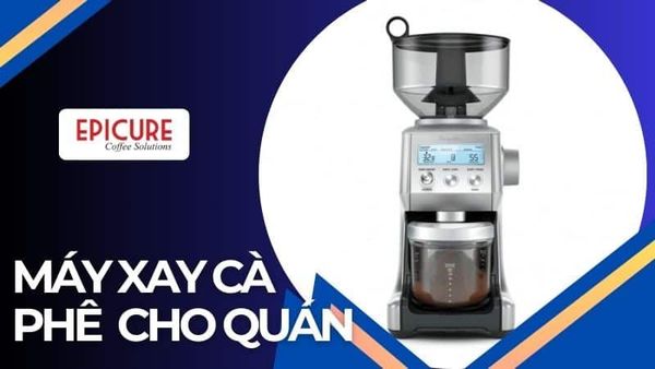 Top 8 Máy Xay Cà Phê Cho Quán Cafe Giá Rẻ Tốt Nhất