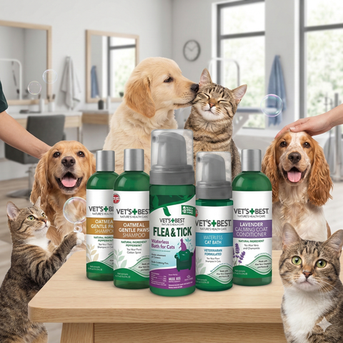 9 Tiêu Chí Chọn Sữa Tắm Cho Chó Mèo An Toàn & Phù Hợp Nhất