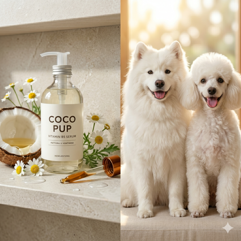 Bí Quyết Chọn Sữa Tắm Làm Sáng Lông Thú Cưng Không Kích Ứng