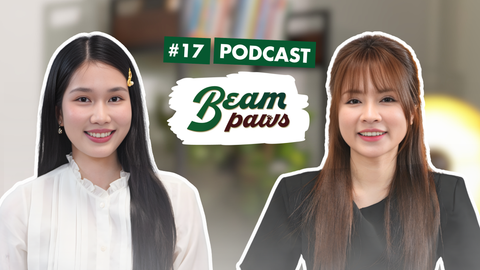 Tập 17 