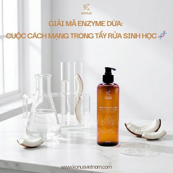 GIẢI MÃ ENZYME DỪA: CUỘC CÁCH MẠNG TRONG TẨY RỬA SINH HỌC