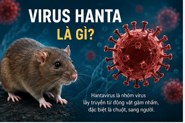 Virus Hanta là gì? Dấu hiệu, đường lây và cách phòng ngừa