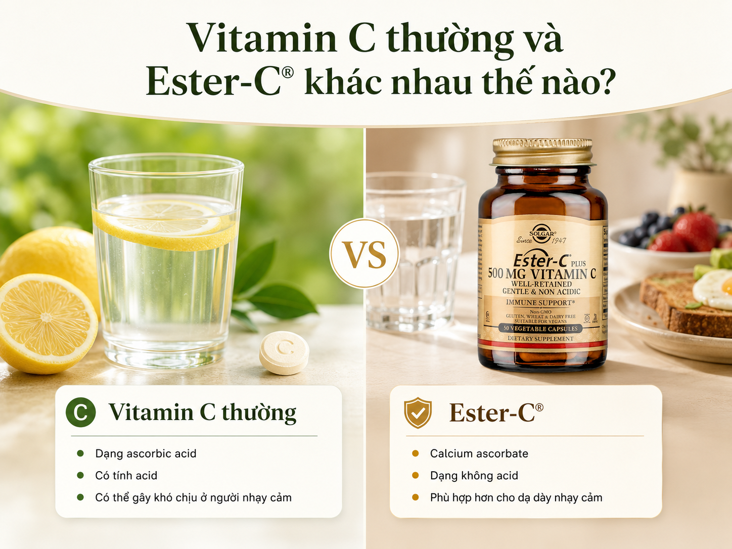 Vitamin C thường và Ester-C® khác nhau thế nào? Cách chọn phù hợp cho dạ dày nhạy cảm