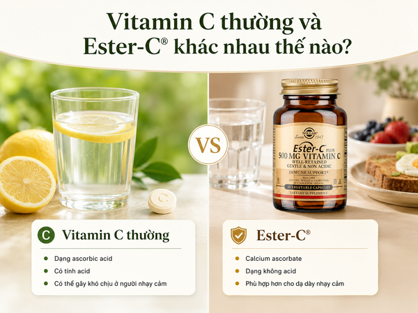 Vitamin C thường và Ester-C® khác nhau thế nào? Cách chọn phù hợp cho dạ dày nhạy cảm
