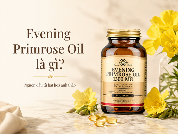 Evening Primrose Oil và làn da khô: GLA, Linoleic Acid có vai trò gì với sức khỏe làn da?