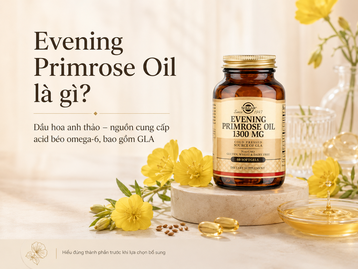 Evening Primrose Oil và PMS: Hiểu đúng về GLA, hormone và dầu hoa anh thảo