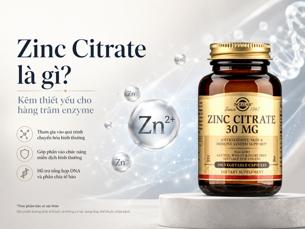 Zinc Citrate Là Gì? Khả Năng Hấp Thu Và Vai Trò Của Kẽm Với Cơ Thể