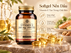 Vitamin E Chống Oxy Hóa Như Thế Nào? Giải Mã Cơ Chế Bảo Vệ Lipid Trước Gốc Tự Do