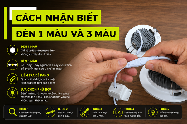 Cách Nhận Biết Đèn 1 Màu và 3 Màu Đơn Giản