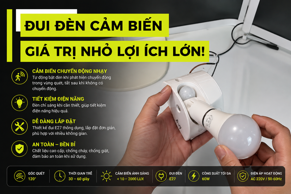 Review Đui Đèn Cảm Biển Siêu Nhạy Của Rạng Đông