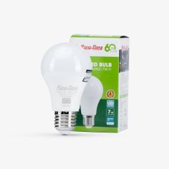 Đèn LED bulb Rạng Đông