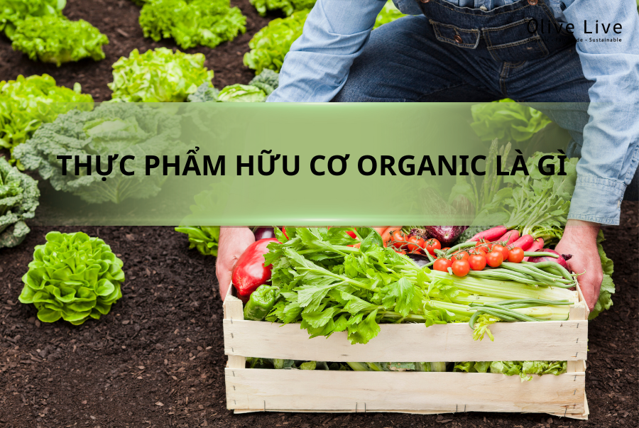 Wht Is Cho Organic Thực phẩm hữu cơ Organic là gì - Đâu sẽ là sự lựa chọn đáng tin cậy củ ...