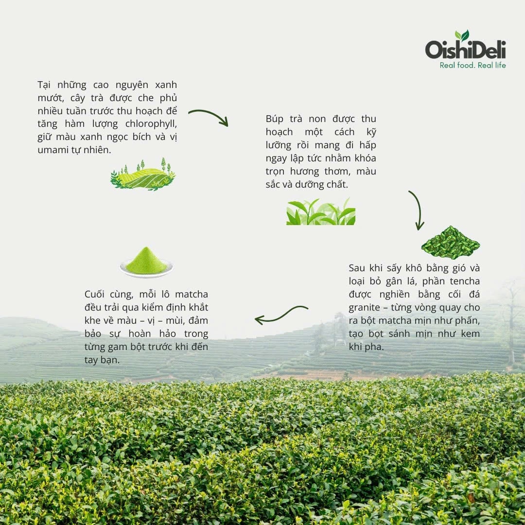 Công Nghệ Hấp Hơi – Bí Quyết Giữ Màu Xanh Và Hương Vị Tươi Mới Của Matcha