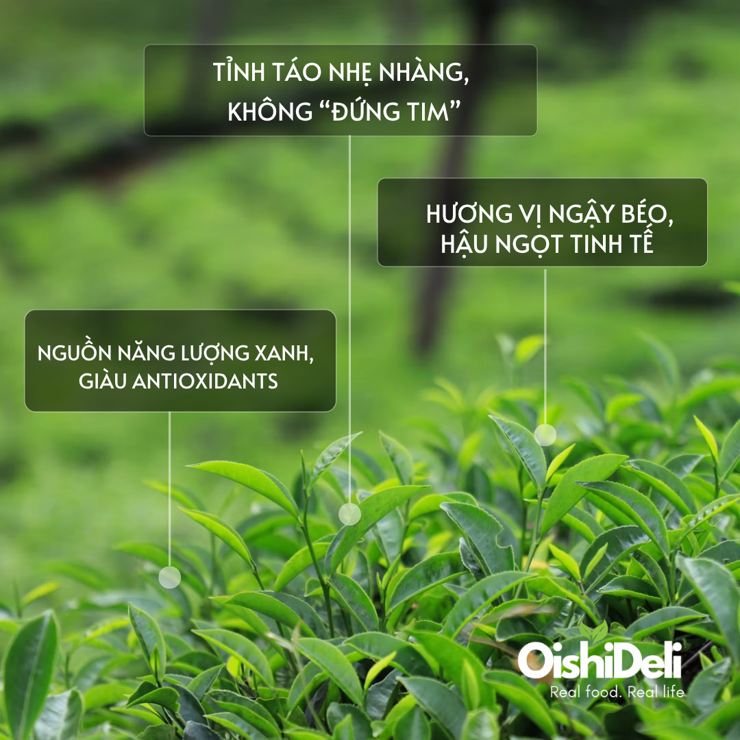 Hura Matcha – Bí Quyết Tỉnh Táo, Tập Trung Dài Lâu | OishiDeli