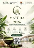 THE NEW MATCHA COLLECTION 2026
