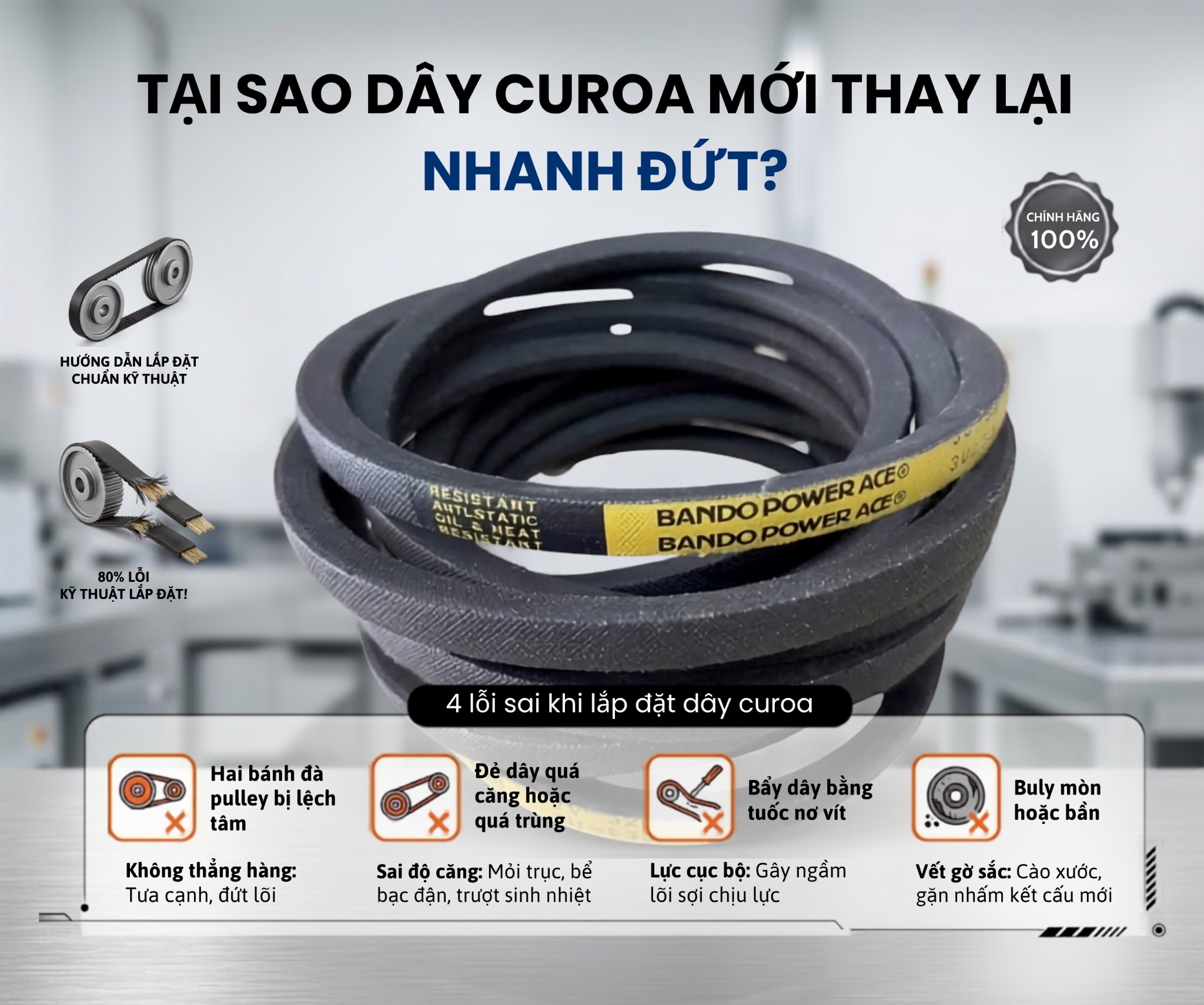 Tại Sao Dây Curoa Mới Thay Lại Nhanh Đứt? 4 Sai Lầm Kinh Điển Khi Lắp Đặt
