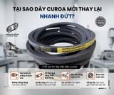 Tại Sao Dây Curoa Mới Thay Lại Nhanh Đứt? 4 Sai Lầm Kinh Điển Khi Lắp Đặt