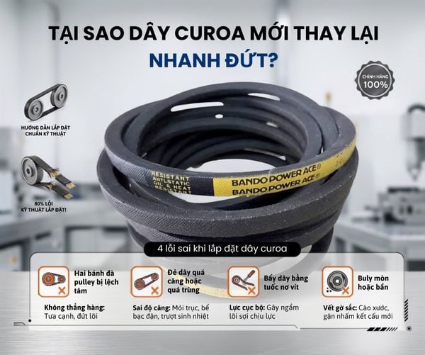 Tại Sao Dây Curoa Mới Thay Lại Nhanh Đứt? 4 Sai Lầm Kinh Điển Khi Lắp Đặt