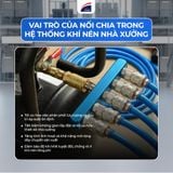 Vai Trò Cốt Lõi Của Nối Chia Trong Hệ Thống Khí Nén