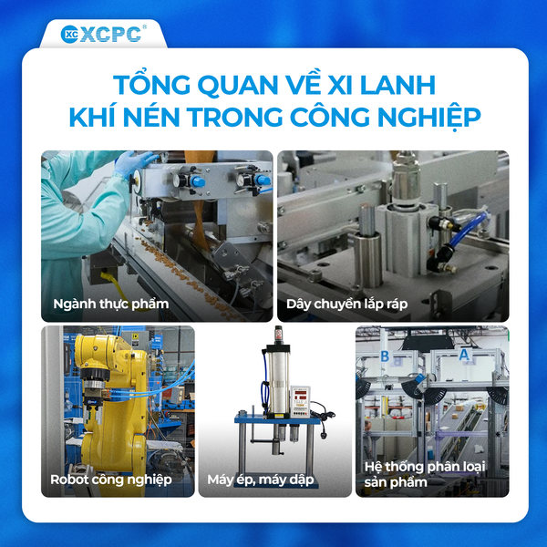 Xi Lanh Tác Động Đơn & Xi Lanh Tác Động Kép: So Sánh, Phân Tích và Ứng Dụng