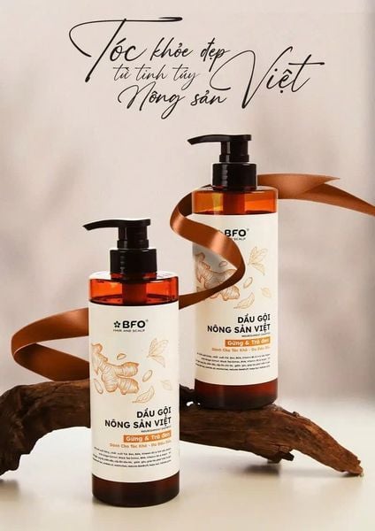 Dầu gội nông sản Việt – Xu hướng xanh trong chăm sóc tóc bền vững