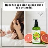Rụng tóc sau sinh có nên dùng dầu gội bưởi? Giải đáp từ chuyên gia