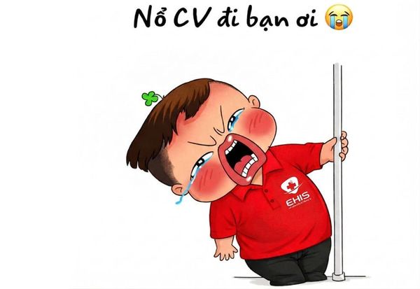 [TẠM NGỪNG TUYỂN] Lập trình viên (Software Developer)